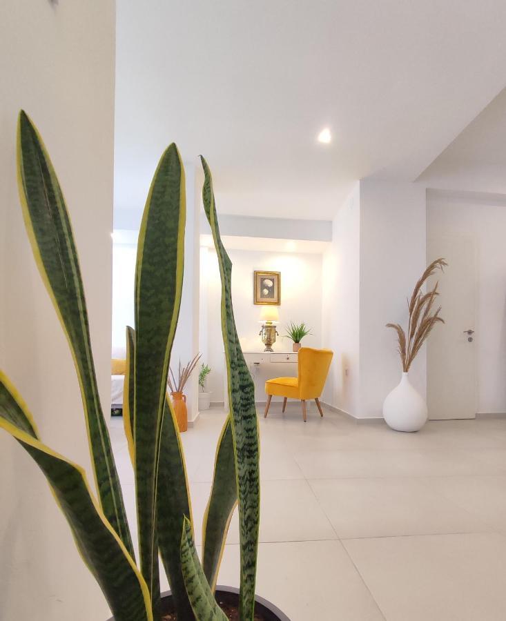 Villa Areti Lefkimmi  Dış mekan fotoğraf